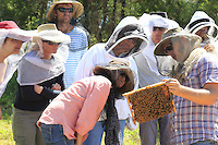 54 In Bathurst, Tim Malfroy's team during a weekend of courses in natural apiculture with the Warré type of hives. This type of hive requires very little intervention on the beekeeper's part. Simple and easy, this technique is ideal for urban beekeepers and has been enthusiastically received in the permaculture milieu in fashion on the east coast.///À Bathurst, l’équipe de Tim Malfroy pendant un week-end de formation à l’apiculture naturelle avec les ruches de type warré. Ce type de ruche demande très peu d’intervention de la part de l’apiculteur. Simple, facile, cette technique est idéale pour les apiculteurs urbains et connaît un engouement certain dans le milieu de la permaculture à la mode sur la côte Est.