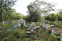 Terry Brown, 61 years old, started keeping bees at the age of sixteen as a hobby. Today, he owns more than 2,500 hives and focusses on the production of honey with nearly 200 tons produced each year.///Terry Brown, 61 ans a commencé à l’âge de seize ans l’apiculture comme un passe-temps. Il possède aujourd’hui plus de 2&nbsp;500 ruches et se concentre sur la production de miel avec près de 200 tonnes produites chaque année.