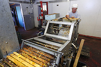 In the honey house, the extraction chain uncaps the honey frames then they are put into the cappings dryer. The honey comes out of the wax cells through centrifugal force. Liquid, it is then filtered.///Dans la miellerie, la chaîne permet de désoperculer les cadres de miel puis ils sont installés dans la centrifugeuse. Le miel sort des cellules de cire sous l’effet de la force centrifuge. Liquide, il est par la suite filtré.