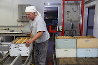 Frank Malfroy in the honey house. This descendent of a French family from the Jura is harvesting the honey chambers.///Dans la miellerie, Franck Malfroy. Ce descendant d’une famille française du Jura récolte les hausses de miel.