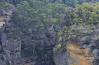 Two hours from Sydney, in the Blue Mountains culminating at 1111 meters altitude, eucalyptus forests cover the mountain slopes. The Australian mountain range stretches over 3,500 km in the east of the country. This rocky barrier harnesses the coastal rains of the Pacific Ocean. It is the source of water and thus the richness of the east coast of Australia.///Dans les montagnes bleues qui culminent à 1111 mètres d’altitude, à deux heures de Sydney, les forêts d’eucalyptus recouvrent les pentes des montagnes. La cordillère australienne s’étend sur 3&nbsp;500&nbsp;km à l’Est du pays. Cette barrière rocheuse capte les précipitations côtières de l’océan Pacifique. Elle est la source d’alimentation en eau, donc de richesse de la côte Est du pays.