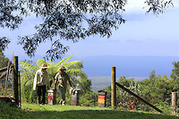 Tim Malfroy has set up Warré hives on Bernhard & Sabine Koch's farm high in the Blue Mountains. The bees pollinate their market production and the various nut trees on this mountain farm which uses permaculture techniques.///Dans la ferme Bernhard & Sabine Koch à dans les hauteurs des montagnes bleues Tim Malfroy a installé des ruches warré. Les abeilles pollinisent à la production maraichère et de fruits à coque, noix et noisettes de cette ferme d’altitude qui utilise les techniques de permaculture.