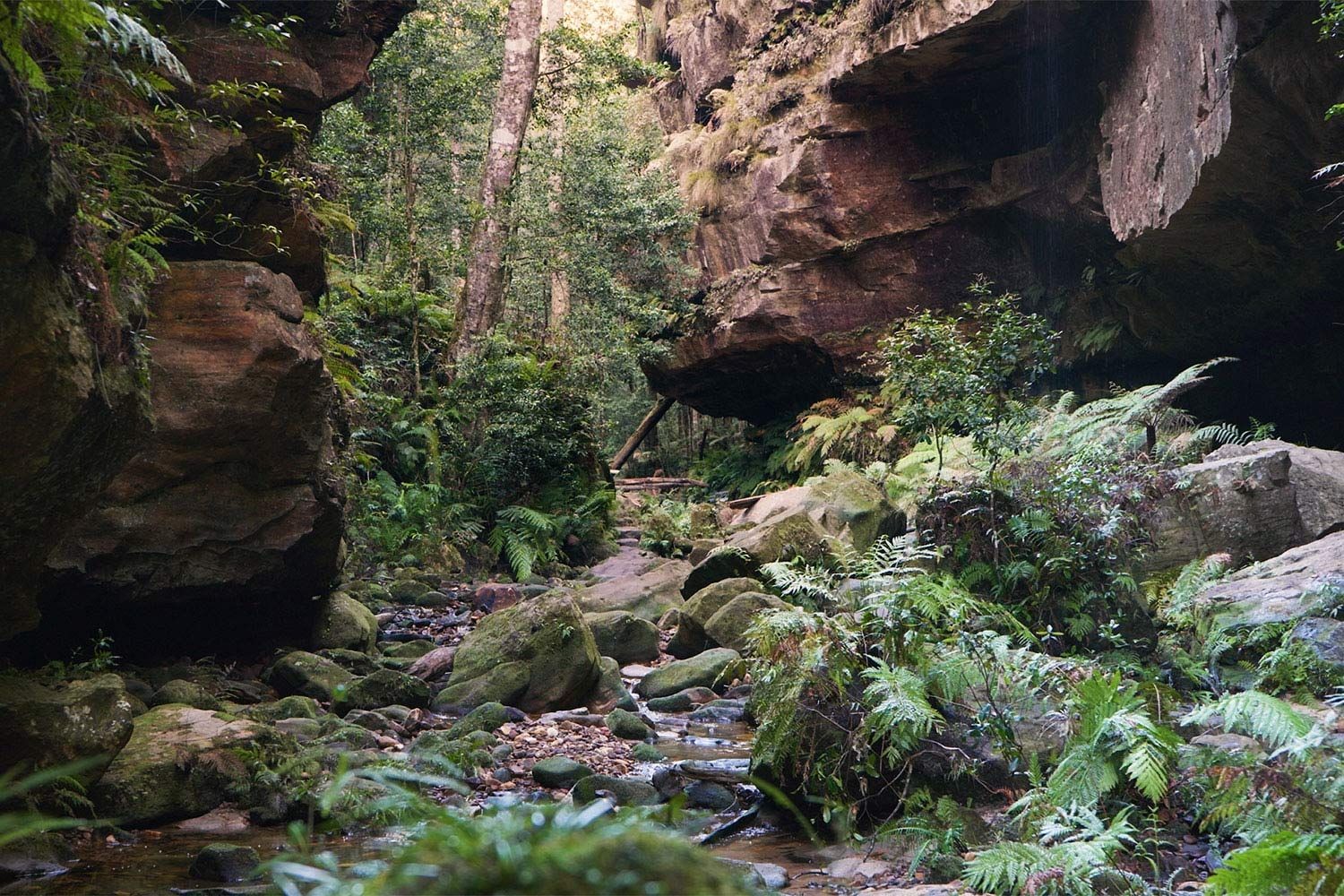 Struggling with iso anxiety? These national park sounds will soothe you to sleep
