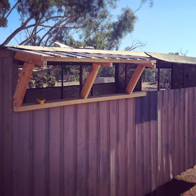 Didn't quite finish her off. But I know these additional eaves are going to be as tough as Fort Knox. I just loooove batten screws... #eggmobileescapades