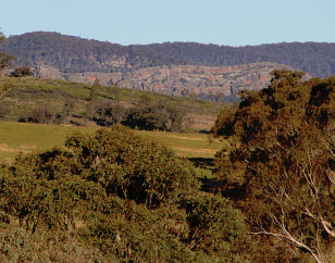 Natural Beekeeping Australia Limkilns NSW