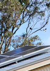 Natural Beekeeping Australia Sustainability