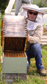 Tim Malfroy with Australian Warr&eacute; Hive